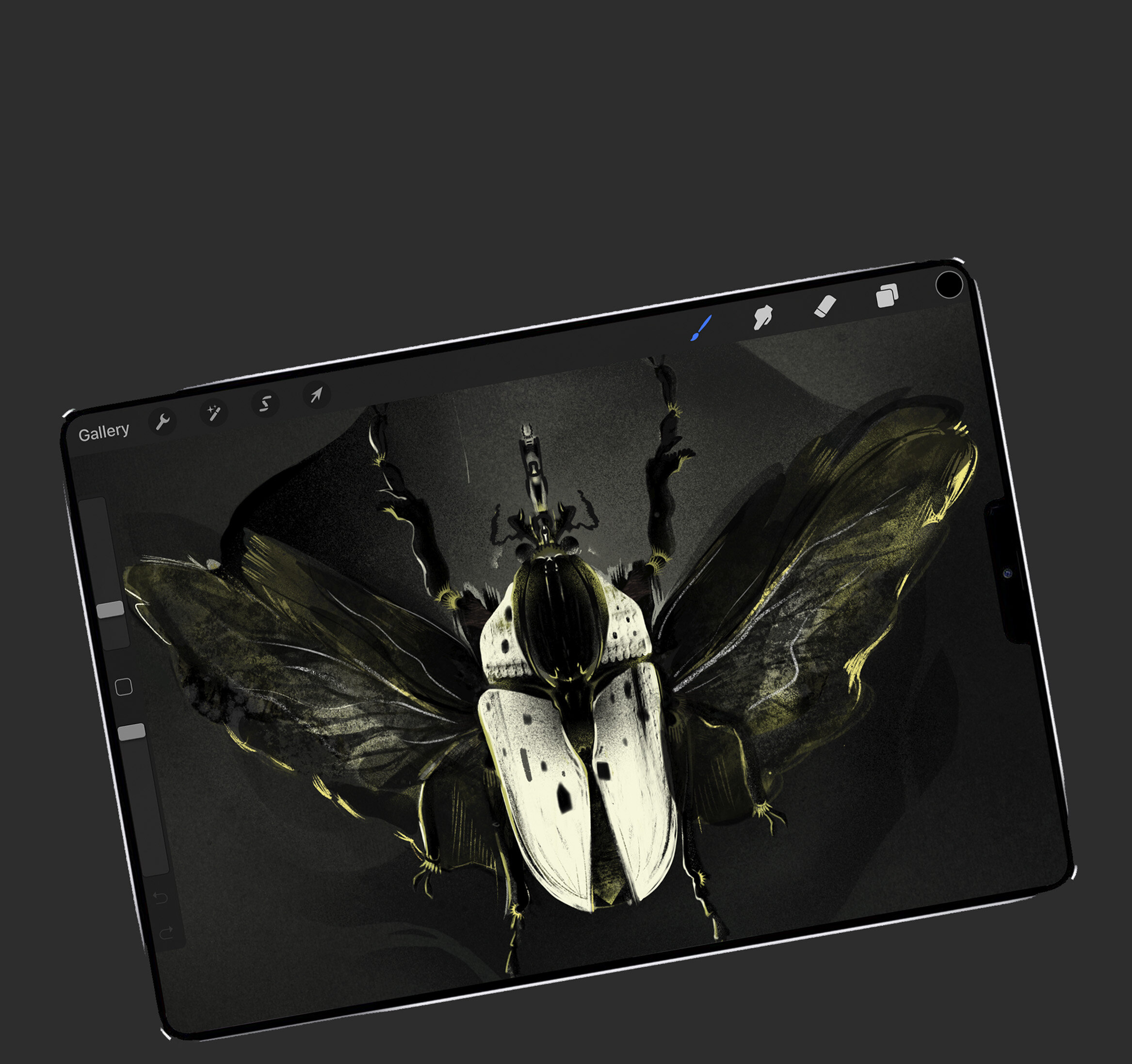 Beetle image 1
