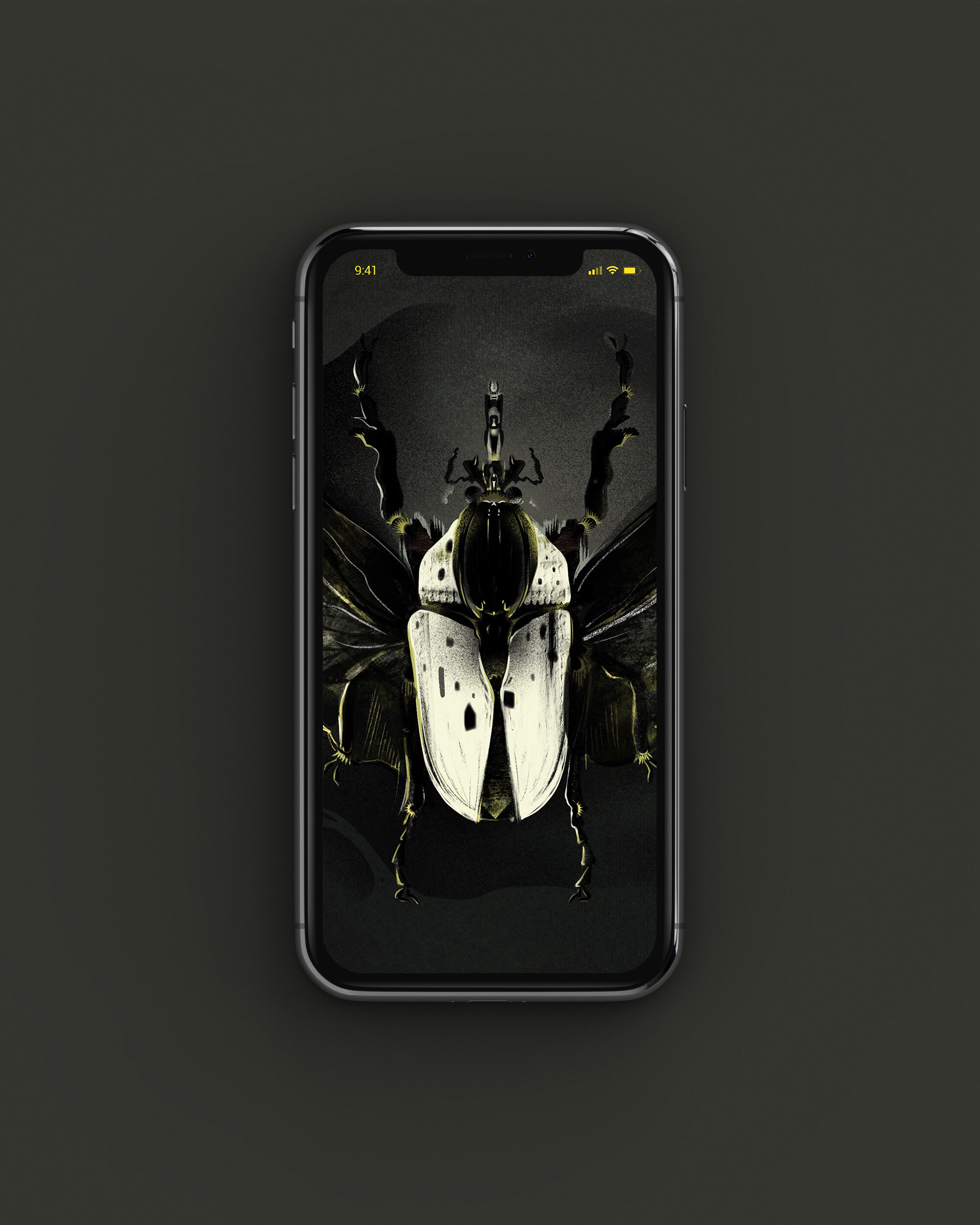 Beetle image 3